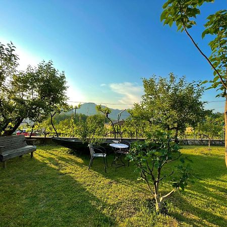 Country House Djurisic Virpazar Buitenkant foto