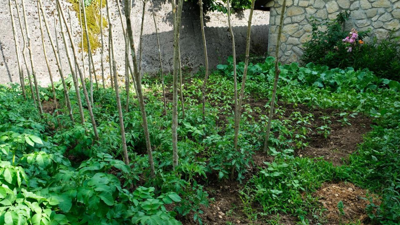 Country House Djurisic Virpazar Buitenkant foto
