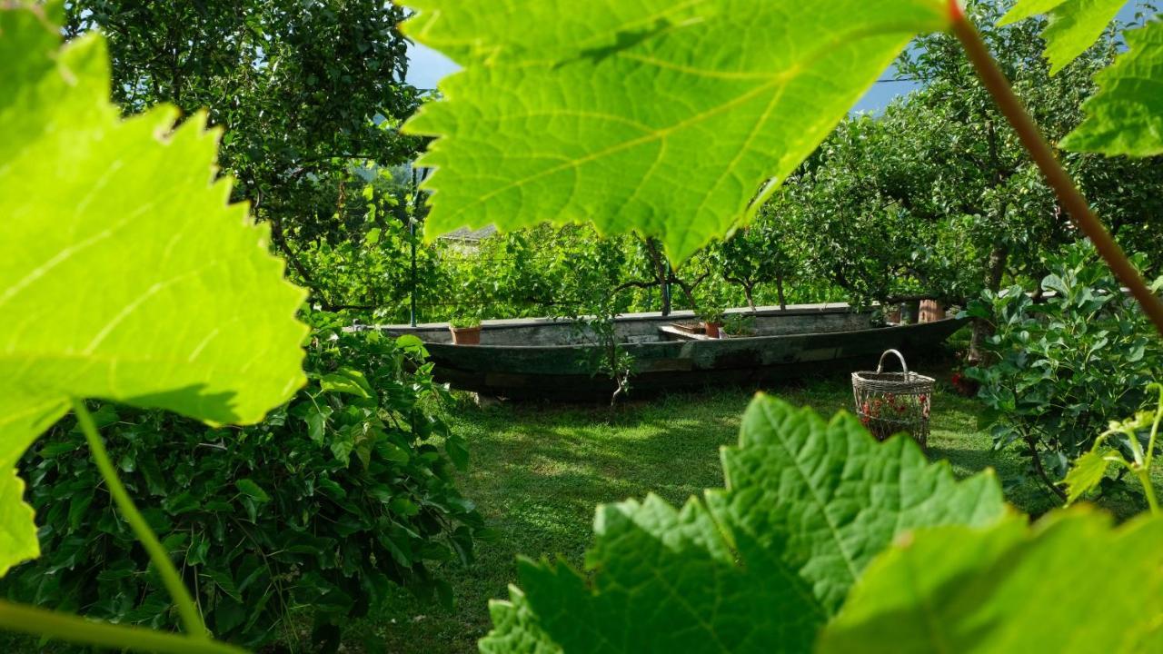 Country House Djurisic Virpazar Buitenkant foto